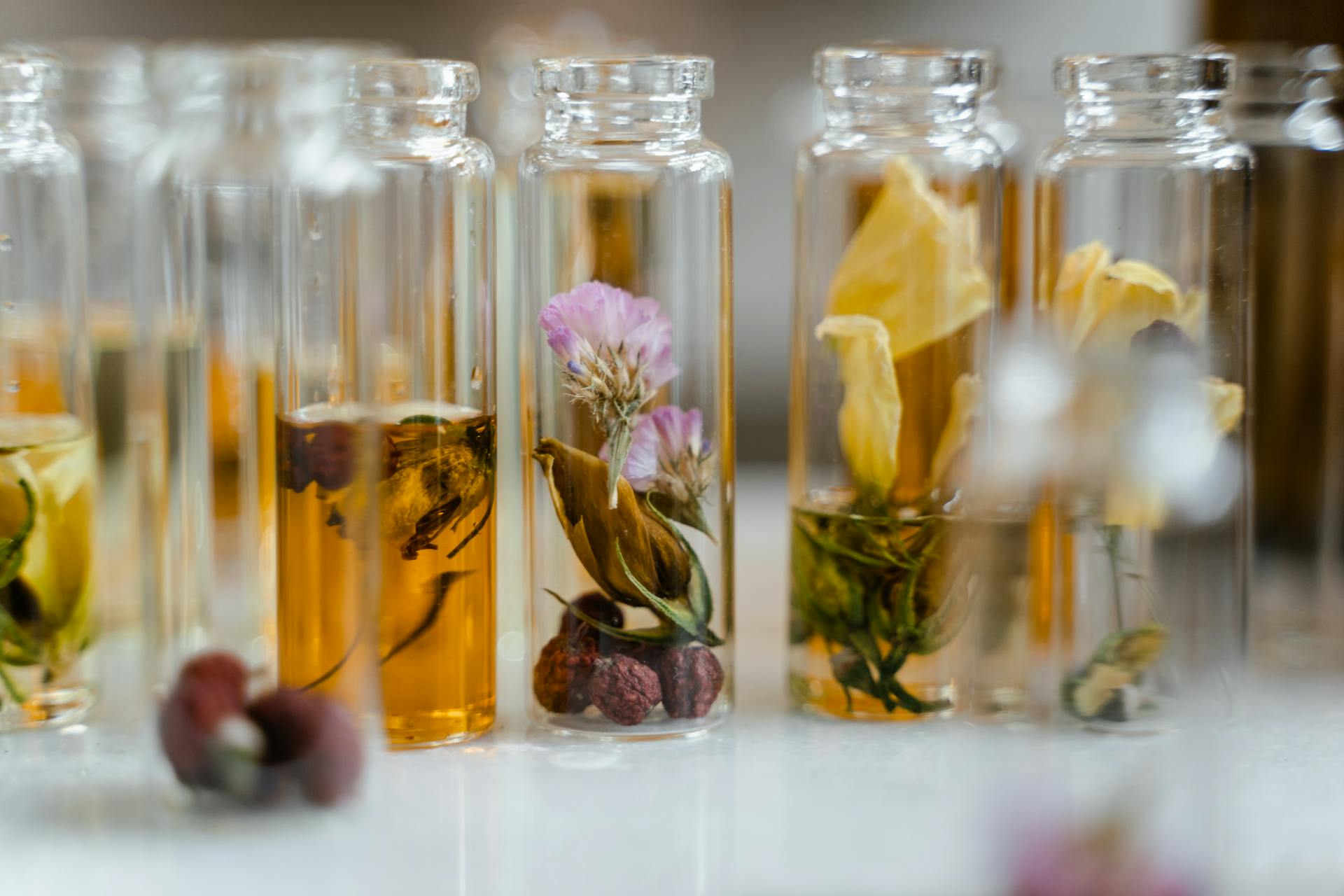 Fragrance Notes: The Building Blocks of Scent