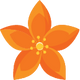 Orange Blossom